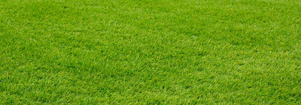 Freshly cut green grass at a property near Westfield, IN.